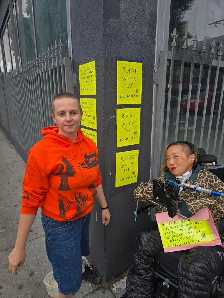Asian American disabled woman in a wheelchair on the right and a white person on the left. In between us is a column and on both sides of the square column are 2 vertical rows of signs about the harm inflicted by the President on disabled people and the row on the right has 3 same messages: RAGE WITH US