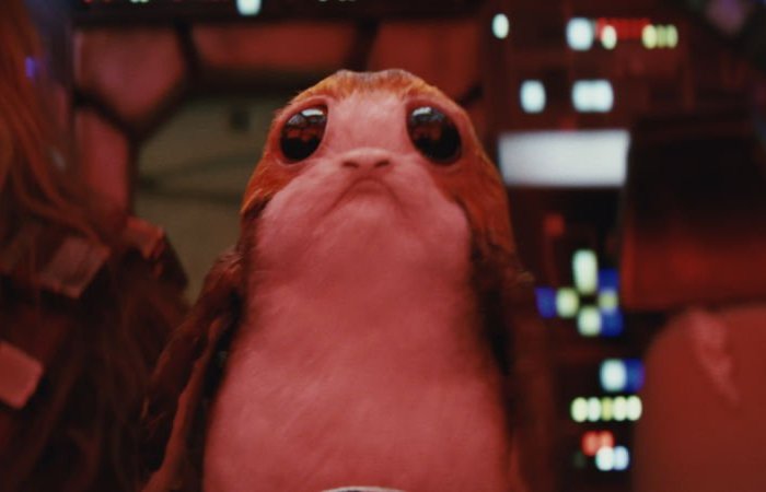A porg, a sea-dwelling bird from the Star Wars universe with large round dark eyes and a sad face. Unbearably cute.