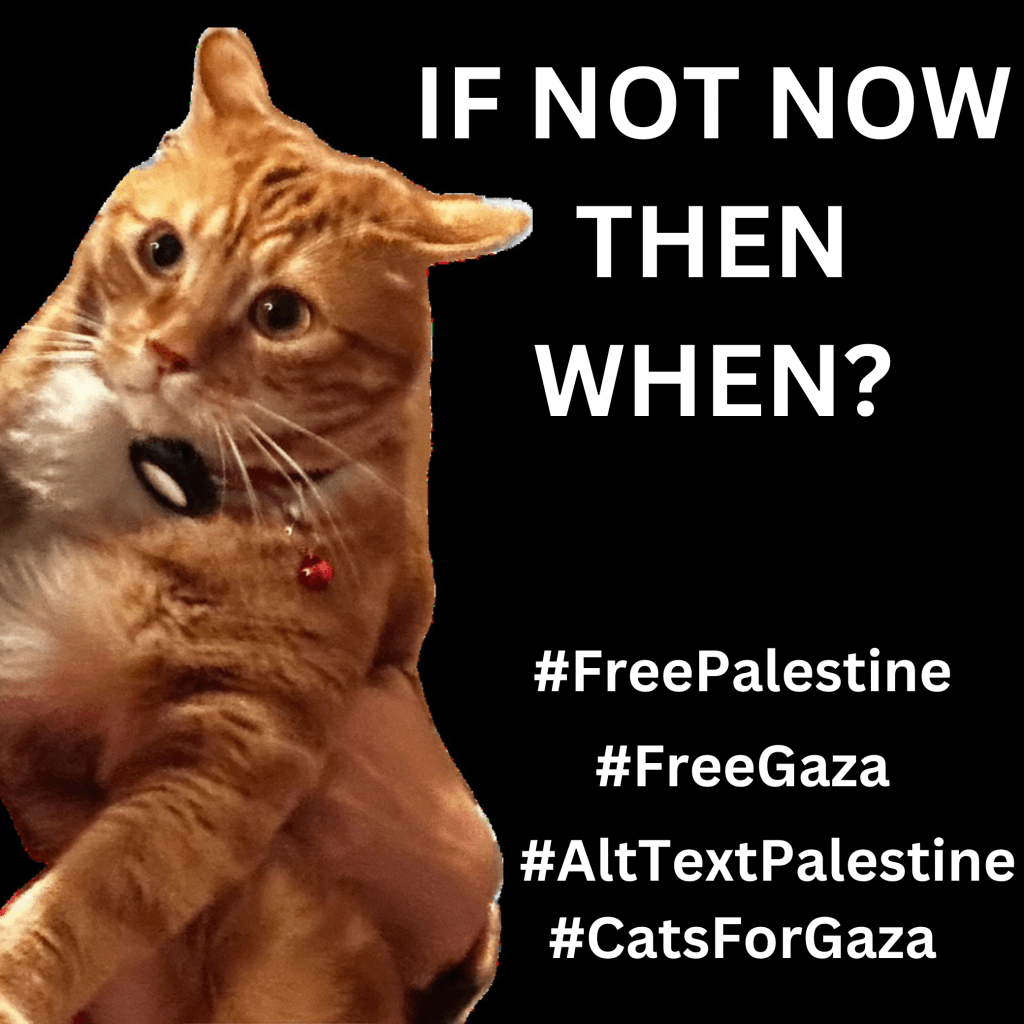 Graphic with a black background with a photo of Ernie, an orange cat who has a bewildered expression. Large text in white reads, IF NOT NOW THEN WHEN? Below are hashtags: #FreePalestine #FreeGaza #AltTextPalestine #CatsForGaza