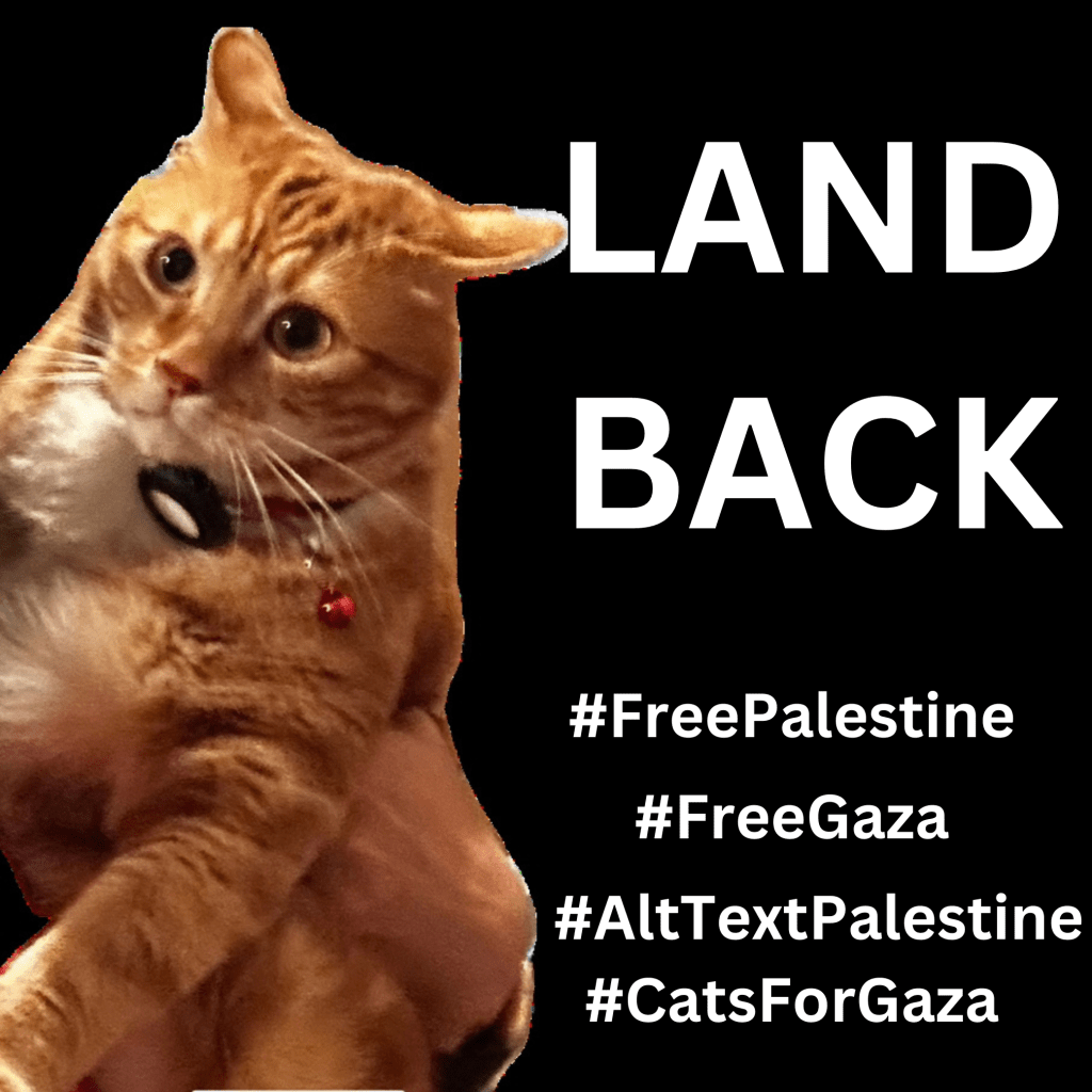 Graphic with a black background with a photo of Ernie, an orange cat who has a bewildered expression. Large text in white reads, LAND BACK. Below are hashtags: #FreePalestine #FreeGaza #AltTextPalestine #CatsForGaza