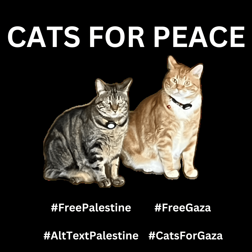 Graphic with a black background with a photo of Bert, a brown tabby on the left who is next to Ernie, an orange cat. They are both staring intently with laser-focused eyes. Large text in white reads, CATS FOR PEACE. Below are hashtags: #FreePalestine #FreeGaza #AltTextPalestine #CatsForGaza