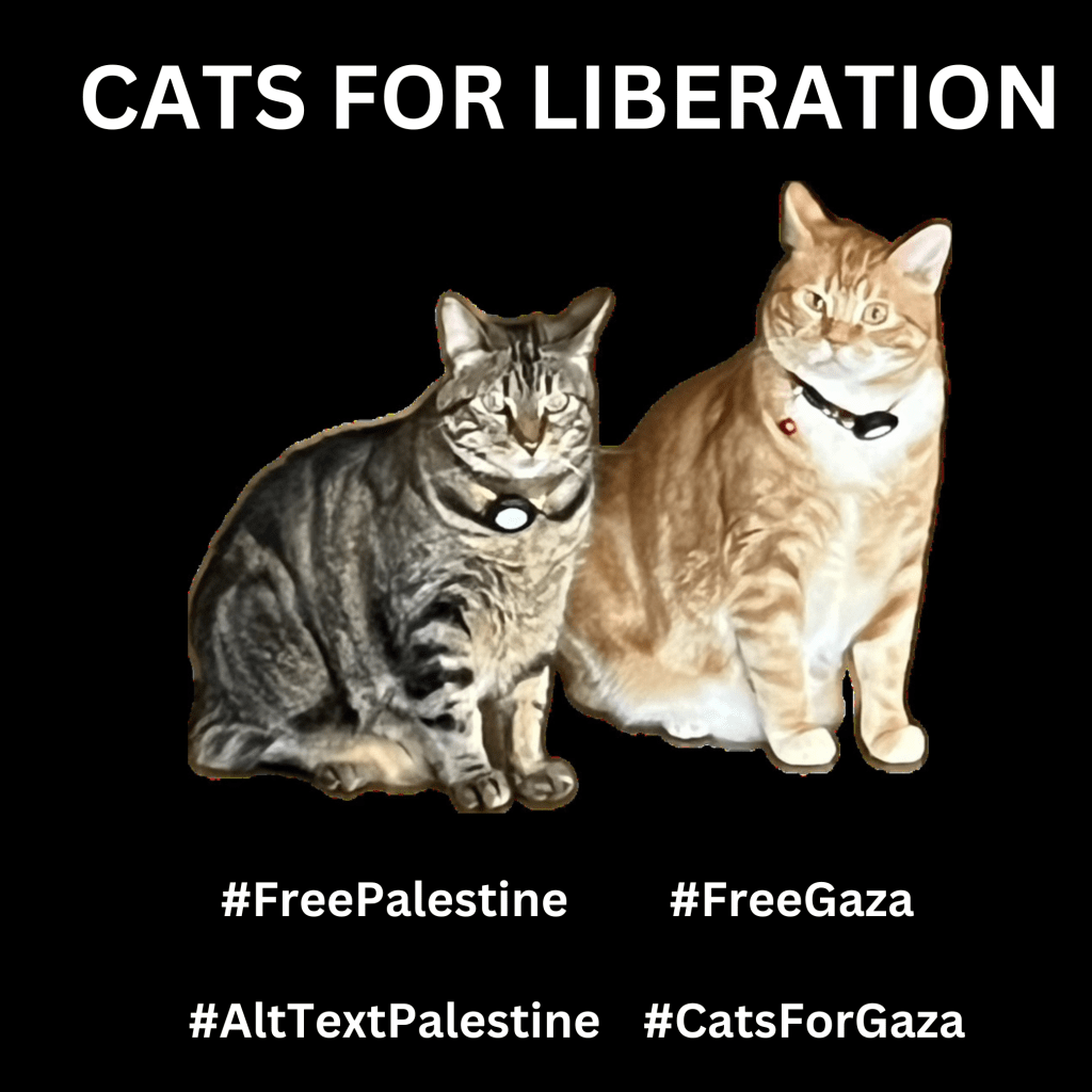 Graphic with a black background with a photo of Bert, a brown tabby on the left who is next to Ernie, an orange cat. They are both staring intently with laser-focused eyes. Large text in white reads, CATS FOR LIBERATION. Below are hashtags: #FreePalestine #FreeGaza #AltTextPalestine #CatsForGaza