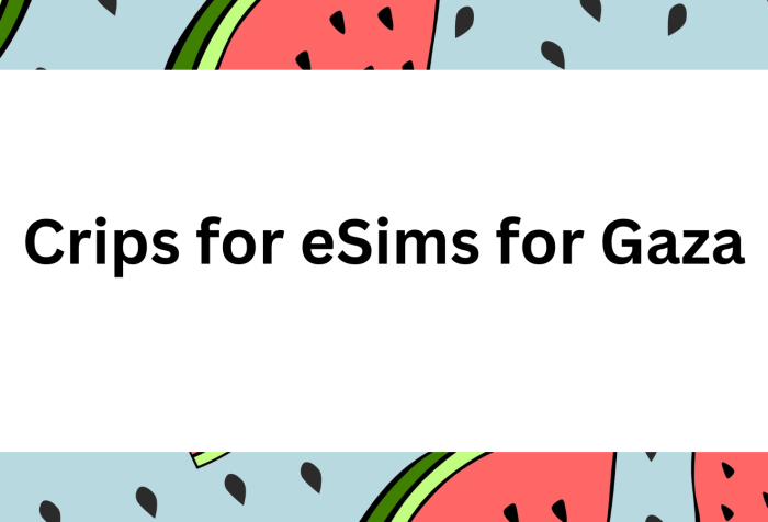 Illustration with a light blue background featuring pieces of watermelon cut into triangular shapes and watermelon seeds.In the center against a white square background text reads, Crips for eSims for Gaza.