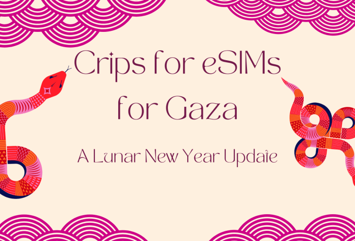 Graphic with a beige background. On the left and right are multicolored snakes with different patterns along their bodies. On the top and bottom are cloud shapes in magenta. Text in the center reads, "Crips for eSIMs for Gaza: A Lunar New Year Update"