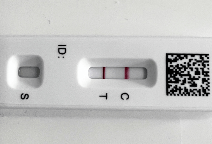Horizontal view of a COVID test with two lines indicating it is positive.