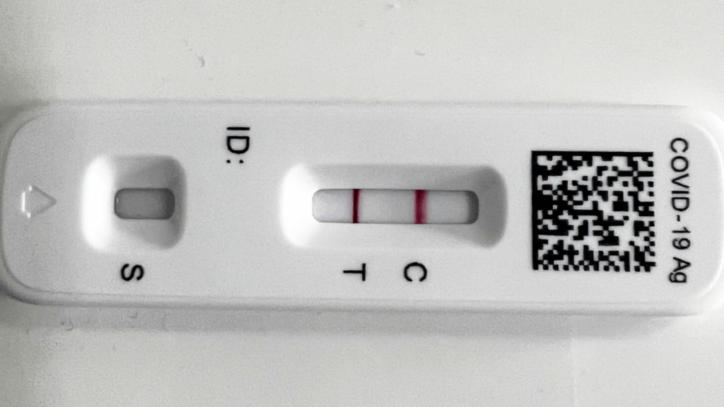 Horizontal view of a COVID test with two lines indicating it is positive.