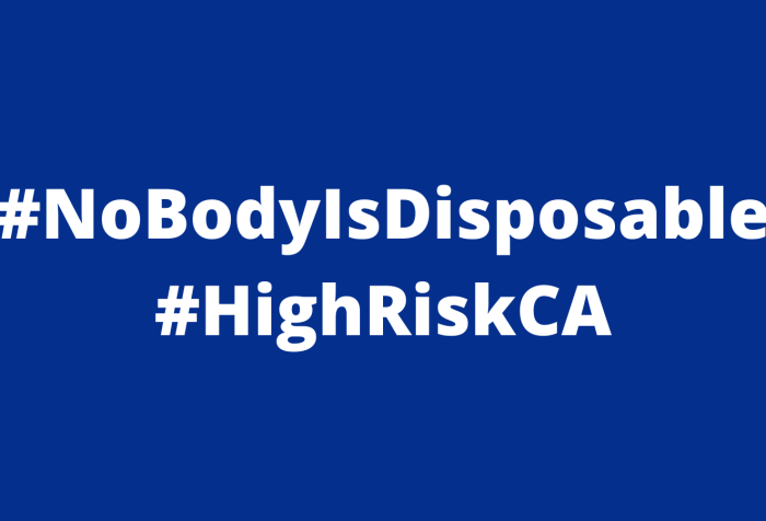 Graphic with a dark navy background with white text in the middle: #NoBodyIsDisposable #HighRiskCA